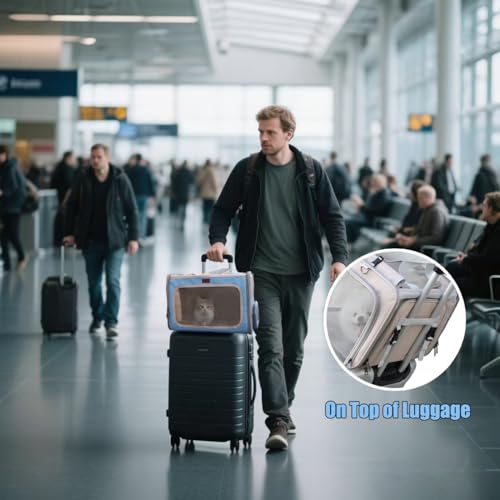 Small Dog Carriers Airline Approved,Blue Cats Travel Bag,Personality,Expandable,Ventilated,Sturdy Pets Carriers Rabbits Bunny Puppies Cage Small Animals Outdoor Carry Kennel - color: Blue