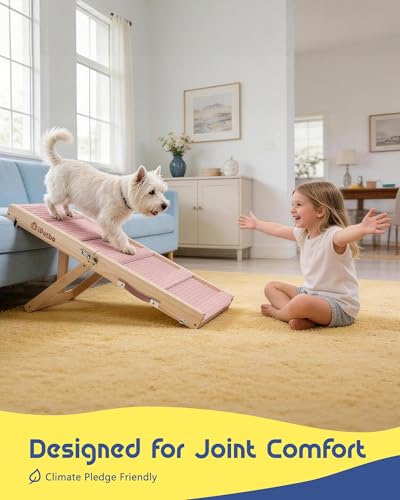 Small Dog Ramp for Couch, Joint & Spine Support, Anti-Slip, Foldable