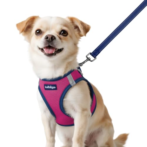 rabbitgoo Dog Harness Small Sized and Leash Set, Step in Soft Vest | Breathable Mesh, Easy Wear with Hook & Loop, Light and Reflective for Walking, Multi-colored, Rose Red & Navy Blue, XXS - color: Rose Red & Navy Blue, size: XXS (Chest: 12.4"-14.2")