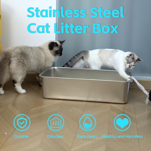 Stainless Steel Cat Litter Box,Medium Metal Litter Box 2pcs | 2 Pack Box for Cats,Easy to Clean,Indoor,Cat LitterBox for kitty/Kitten Rabbit,Litter Pan,No Smell - color: M - 2pcs