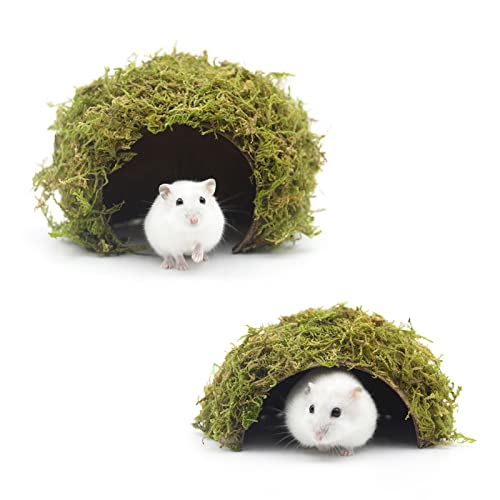 Hamster Hideaway/Hideout,Mossy Cave Hide,Hamster House/Hides,Hamster Cage Accessories for Gguinea Pig/Hedgehogs/Gliders/Rats/Mice and Other Small Animals(Set) - size: Cave, Set