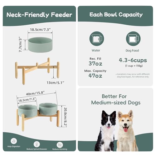Havniva Elevated Dog Bowls Ceramic Dog Bowls with Stand, Dog Food Bowl | 7.3” Raised Dog Bowls with Non-Slip Wood Stand, Dog Food and Water Bowl Set, Double Dog Feeding Bowls for Medium Dogs - color: 2 Bowls+Stand - Light Green, size: 7.3inch