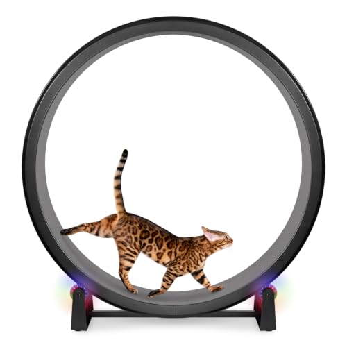One Fast Cat - Cat Exercise Wheel - Made in the USA - 48" Diameter - Gen. 7 | Black with Gray Felt Traction Pads and Light-Up LED Inline Wheels - color: Black Wheel / Gray Felt / LED Inline