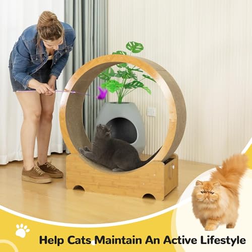 COZIWOW Cat Wheel for Indoor Cats, Cat Treadmill, Exercise Running Wheel | built-in scratching pad and locking mechanism, 34" cat exercise wheel, 8 robust positioning rollers in the base, up to 44 lbs