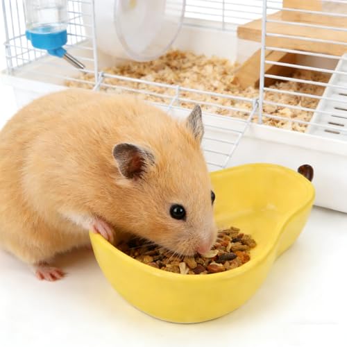 Hamster Food Bowl Ceramic, Cute Apple Pear Banana Shape Small Pet Feeding Dish, Easy to Clean Anti Flipping Guinea Pig Hamsters Food and Water Bowl, Small Animal Bowls for Dwarf, Parrots (Pear) - color: Pear