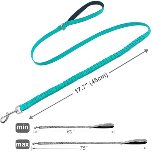 5FT Bungee Dog Leash Shock Absorbing Reflective Small Medium Dogs | Nylon Lightweight Leash- 2cm Wide- Anti- Pull Training- 6 Colors (Turquoise) - color: Turquoise