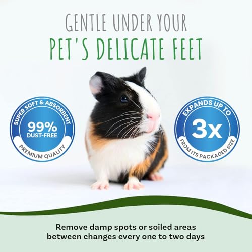 Small Pet Select White Paper Bedding, Guinea Pig, Odor Control, 56 L | Soft Absorbent Natural Bedding, Made in USA, For Rabbits, Hamsters, Bunnies, Chinchillas & Small Pets - size: 56L
