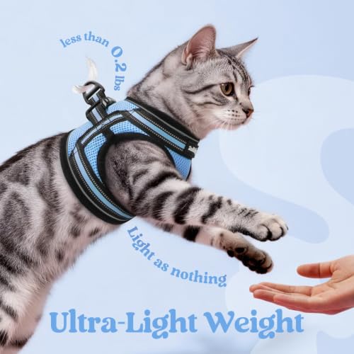rabbitgoo Cat Harness and Leash Set, Step-in Soft Vest, Light Blue | Escape Proof, Lightweight, Easy-on & Adjustable, Hook & Loop with Buckle, Reflective, for Kittens & Small Cats Walks, S - color: Light Blue, size: S