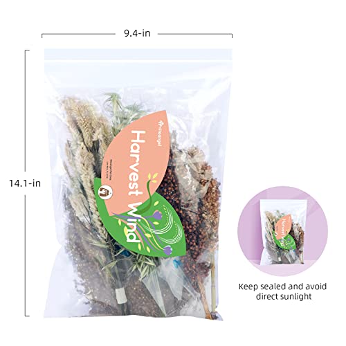 Niteangel Natural & Soft Hamster Bedding Mate: Air-Dried Flowers & No-Add | Fun to Cage Habitat & Adds Vibrant Color - Decor for Syrian Dwarf Hamster Gerbils Mice Degus or Other Small-Sized Pet - size: Natural Poem Version