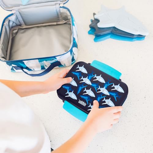 Wildkin Reusable Food Container for Kids – Airtight, Leak Resistant, Dishwasher Safe - Sharks - color: Sharks