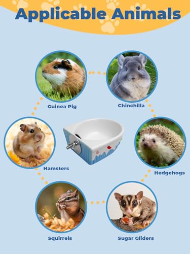 Chinchilla Food Bowl Ceramic Guinea Pig Cage Feeder Hanging Bunny Food Dish Small Animal Feeding Bowls for Syrian Hamster Ferret Gerbils (Blue) - color: Blue