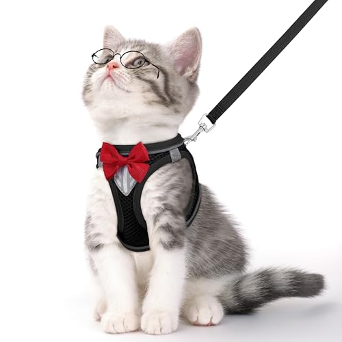 Cat Vest Harness and Leash Set, Escape Proof Kitten Harness Black XS | Safe Reflective Strips, Adjustable Easy Wear Kitty Harness, Sturdy Clip Buckle, Breathable Mesh , for Kitty Puppy Bunny Walks - color: Black, size: XS