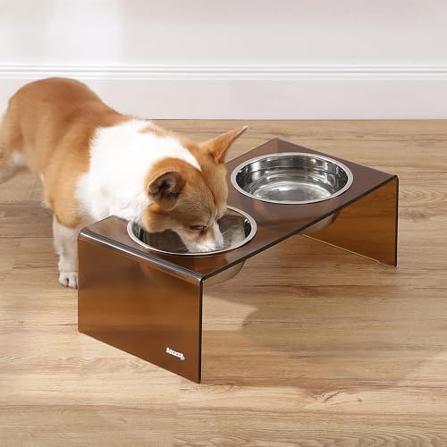 DBL2001D Keaton 7.5" Medium/Large Modern Acrylic Rectangular Elevated Pet Feeder with 54oz 2-Stainless Steel Bowls, Amber/Chrome - color: Amber/Chrome, size: 54 Ounces (7.5" Cups 2-Pack)