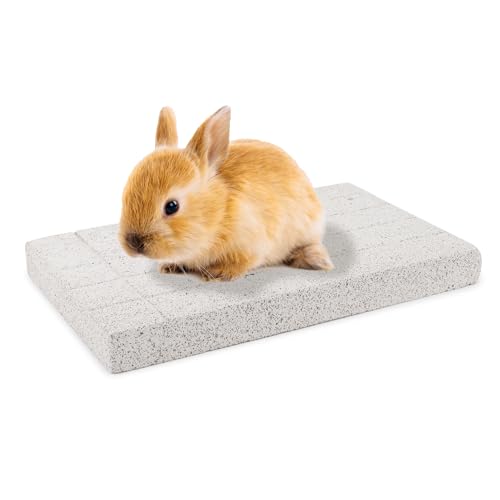 Rabbit Scratching Pad Bunny Feet Pad Lava Grinding Chew Toy for Rabbit Chinchilla Guinea Pig Ferrets (B)