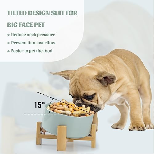 SPUNKYJUNKY 15° Slanted Ceramic Dog and Cat Bowl with Wooden Stand, Tilted Bulldog Food and Water Bowl No Slip Non-Spill for Cats Medium Dogs Big Face Pets 28.7 OZ (3.6 Cups, Morandi Green) - color: Morandi Green, size: 3.6 CUPS × 1