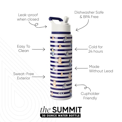 Simple Modern Bluey Insulated Water Bottle with Straw | 30oz | Striped | Summit Stainless Steel Water Bottles, Insulated Metal Cup | Leak Proof for School, Gym, Travel, Sports | Bluey Stripes - color: Bluey: Stripes, style: 30oz Water Bottle