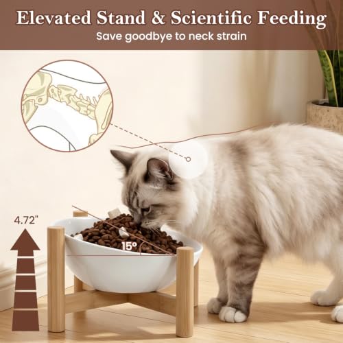 15° Slanted Rim Ceramic Cat Bowl, Anti-Spill for Small Cats,White | Food-safe Ceramic with Wooden Stand,Ergonomic Tilt Relieves Neck Strain,Anti-Vomiting,Prevents Whisker Fatigue - color: White