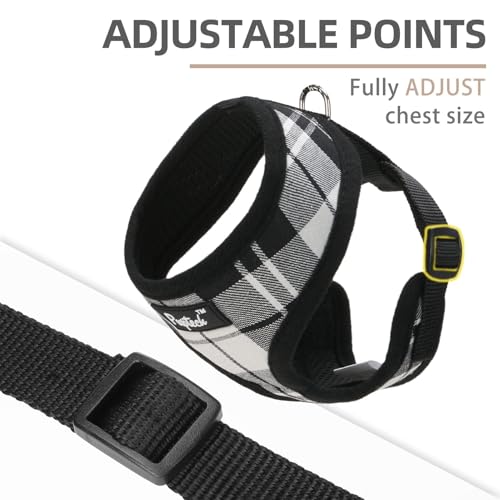 PUPTECK Soft Mesh Dog Harness and Leash Set Pet Puppy Cat Comfort Padded Vest No Pull Harnesses, Black&White, S - color: Black&White, size: S (NECK: 12", CHEST: 14"-18")