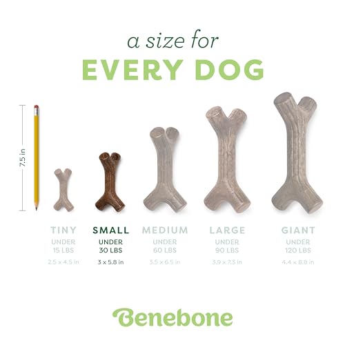 Benebone Maplestick Real Wood Durable Dog Chew Toy, Made in USA, Small | Durable, Made in USA, Dog Bones, Long-Lasting, A Size for Every Dog, Keeps Them Busy - color: REAL Maplewood, size: Small