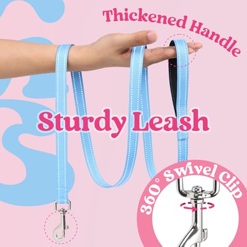rabbitgoo Dog Harness Small Sized and Leash Set, Step in Soft Vest | Breathable Mesh, Easy Wear with Hook & Loop, Light and Reflective for Walking, Multi-colored, Pink & Blue, XXS - color: Pink & Blue, size: XXS (Chest: 12.4"-14.2")