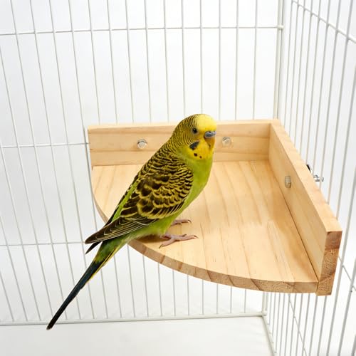 2 Pack Bird Wooden Perch Stand Platform Rack Rest Stand Toy for Bird Parrot Parakeet Conure African Greys Cockatoo Budgies Macaw Lovebird Finch Canary Hamster Gerbil Rat Mouse Cage Shelf Toy