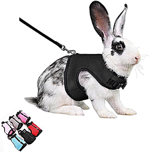 Bunny Harness and Leash Set, Rabbit Vest Hamster Leash Mesh Eescape Proof Walking Training for Small Animal Pets Rat Squirrel Ferret Guinea Pig Bunny,Black M - color: Black, size: M