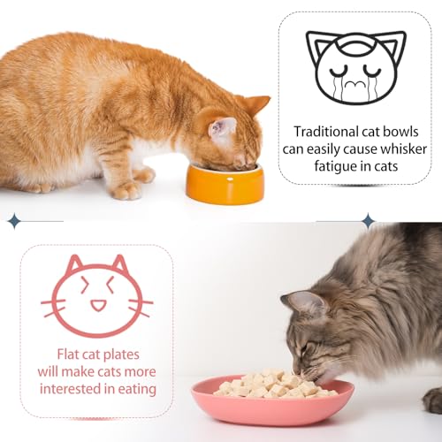 Tioncy 24 Pcs Fatigue Relief Cat Bowl 5.7 Inch Shallow Cat Food Dish Wide and Small Pet Wet Feeding Bowl for Kitten Short Legged Kitten Ferrets Feral Small Animals (Blue, Green, Pink, Beige,Cute) - color: Blue, Green, Pink, Beige, style: Cute