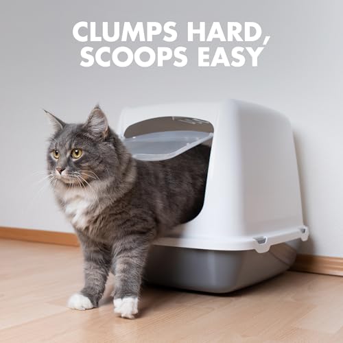 ARM & HAMMER Naturals Clumping Cat Litter, Multi Cat, 18 lbs | Plant-Based, Easy Scoop Clumps, Outstanding Odor Control, 2X Liquid Absorption, Low Dust, Lightweight Formula - size: 18 Lbs