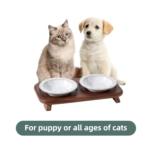 Havniva Ceramic Cat Food Bowl, 6.1" Raised Cat Bowls with Acacia Wood Stand | Elevated Cat Bowls, Whisker Friendly, Extra Wide Opening, Aesthetic Cat Dishes, Elegant Pet Bowls, Food-grade Ceramic, Kitten - color: 2 Dishes+Stand- Arctic White