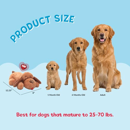 Snuggle Puppy Original Heartbeat Puppy Toy with Real-Feel Pulse & Heat Pack, Calming Sleep Aid for Puppy Anxiety, Crate Training, First Nights & New Puppy Transition - Biscuit | Calming heartbeat toy, crate training comfort, heat pack, new puppy essential