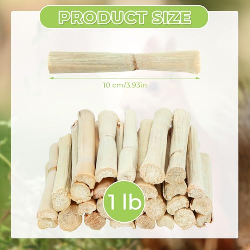 1lb Natural Sweet Bamboo Chew Sticks, Molar Teething Treats Toys for Rabbits, Bunnies, Guinea Pigs, Hamsters, Chinchillas, Rats & Other Small Animals - size: 1lb