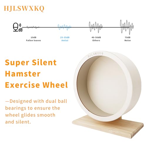 9in Silent Hamster Wheel with Removable Track(9in) | Wooden Exercise Wheel with 2 Natural Chew Toys, Quiet Spinner for Gerbils, Mice, Hamsters,Mouse,Syrian Hamster - size: 9in