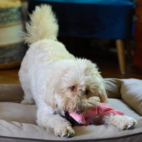 SPOT Skinneeez Flamingo 19 Inch Stuffing-Free Plush Dog Toy with Dual Squeakers – Long Interactive Chew Toy for Medium and Large Dogs – Mess-Free Play for Light & Moderate Chewers - style: Flamingo