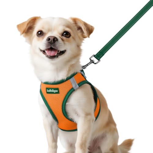 rabbitgoo Dog Harness Small Sized and Leash Set, Step in Soft Vest | Breathable Mesh, Easy Wear with Hook & Loop, Light and Reflective for Walking, Multi-colored, Orange & Dark Green, XXS - color: Orange & Dark Green, size: XXS (Chest: 12.4"-14.2")