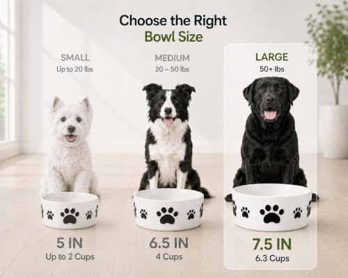 Ceramic Dog Bowls Set, 7.5''×3'', with Anti-Slip Rings, 5 Cups Capacity - size: 7.5 in