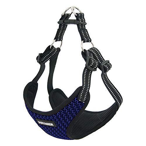 Voyager Step-in Flex Adjustable Dog Harness - Baby Blue, X-Large | 23 - 28" in Chest, Fully Adjustable, Reflective Bands, All Weather Breathable Air Mesh, Lightweight, Fast Drying - color: Harness (Baby Blue), size: XL