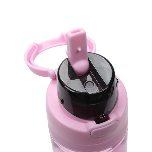 Bioworld Minnie Mouse Classic Big Face Pink 24 Oz Plastic Water Bottle With Dual Spout Lid - color: Minnie Mouse Classic Big Face