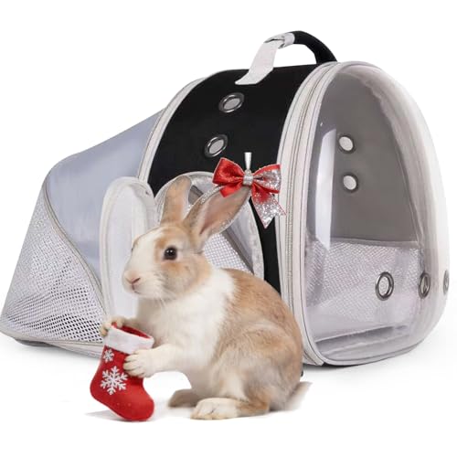 WEVONIGU Expandable Small Animal Backpack Carrier with Clear Bubble Window Large Space Travel Cage for Hedgehog Rat Parrot,Bearded Dragon,Sugar Glider,Airline Approved (Black, BE Backpack) - color: Black, size: BE Backpack