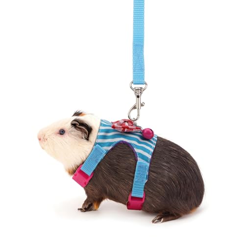 Hypeety Small Animal Harness Vest and Leash Set Soft Mesh Small Pet Harness Hamster Rabbit Chest Back Outdoor Leash Traction Rope for Rabbit Ferret Guinea Pig Kitten Clothes Accessory (S, Blue Stripe) - color: Blue Stripe, size: S