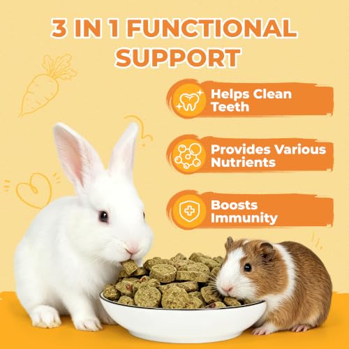 Zoody Multivitamin Vitamin C Timothy Hay for Rabbit, Guinea Pigs 4 oz | Healthy Rabbit treats, Vitamin C for Guinea Pigs, Hamsters, Rat food, Small Pet Supplies