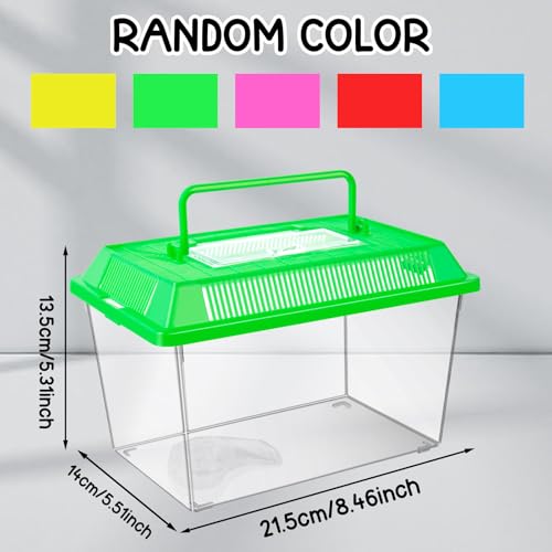 12Pcs Plastic Reptile Terrariums Carrier Cage, Tarantula Enclosure Snake Breeding Box Hatching Container Transparent Fish Tank Turtle Aquarium with Random Color Lid for Lizards, L(8.7" x 5.5" x 5.9") - size: L