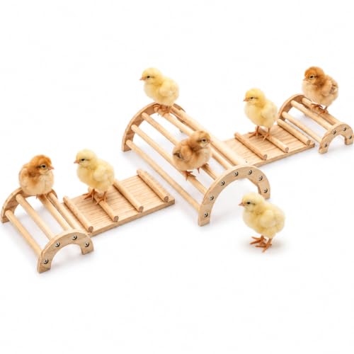 Novabright Wood Chick Perch Chicken Stand Training Perch Roosting Bar Coop Jungle Gym Baby Chick Wooden 5 in 1 Climbing Arch Bridge Platform Stand, Brooder Ladder Ramp Toys for Small Animals Hamsters