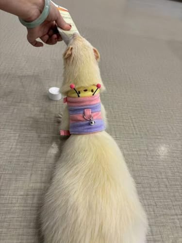Ferret Harness and Leash Set - Small Animal Soft Fleece Vest with Safe Bell Halloween Outfit Adjustable Traction Rope Outdoor Walking Training Leash for Ferret Rat Bearded Dragon Kitten (Pink) - color: Pink