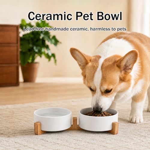 MateeyLife Ceramic Dog and Cat Bowls with Stand, 2-Pack Food and Water Bowl Set - Non-Slip Pet Bowls for Cats,Puppies and Small Dogs, 13.5OZ（White） - color: White, size: S-1.5Cup