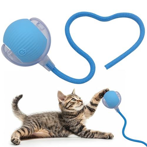 Interactive Cat Dog Toy Ball with LED Light, Automatic Rolling(Blue) | String Tail and LED Light Design, Motion Activated, Suitable for Interactive Indoor Pet Play and Exercise - color: Blue