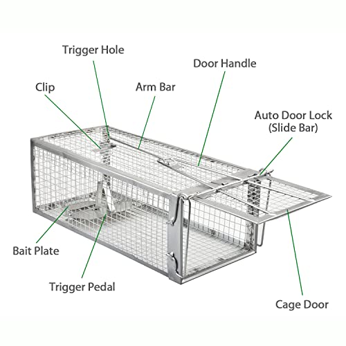 2-Pack Live Chipmunk Traps Humane Vole Hamster Mouse Rat Cage Traps | Catch and Release, For Indoor and Outdoor Use - color: Silver