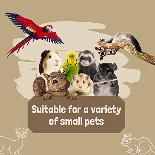 FABMODE 2 Packs Small Pet Toys, Sugar Glider Cage Accessories, Climbing Toys Swing Toys, Suitable for Ferret Birds Parrots Hamster Squirrel Chinchilla Guinea Pigs (with one Water Bowl)