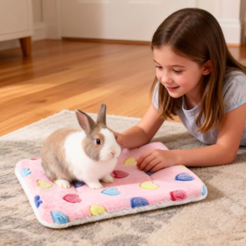 2 Pcs Bunny Bed, Washable Rabbit Bed, Double-Sided Fleece Sleeping Pad for Guinea Pig, Dwarf Rabbit, Chinchilla, Ferret, Hamster, Warm Small Animal Cage Mat, 13x10in, Pink Heart - color: Pink Heart