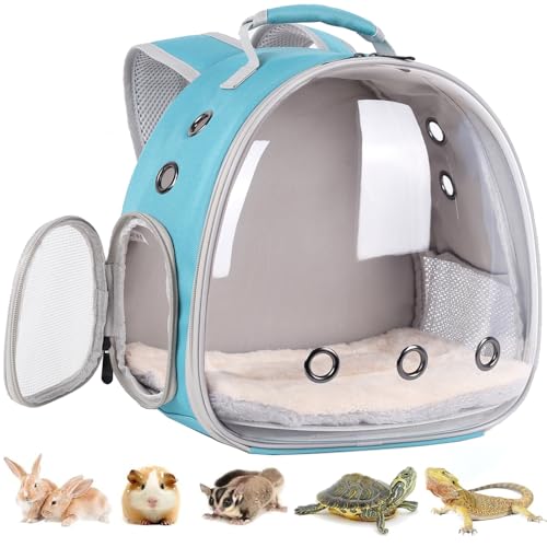 Portable Small Animal Backpack Travel Breathable Pet Carrier Bag Cages for Guinea Pig, Rabbit, Bearded Dragon, Squirrel, Tortoise, Bird, Lizard, Sugar Glider - color: Green