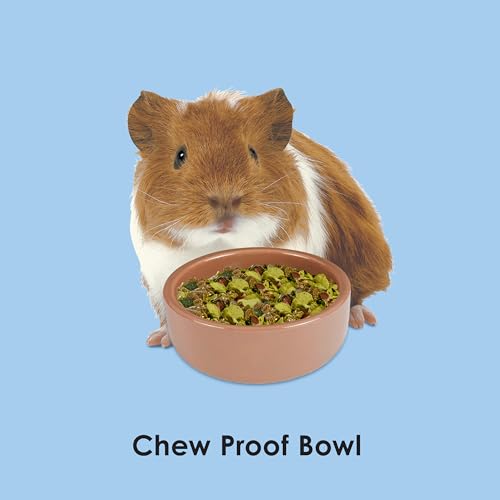 Kaytee Stoneware Ceramic Pet Hamster Bowl, Brown, 3-Inch (Pack of 2) - size: 3 in (Pack of 2)